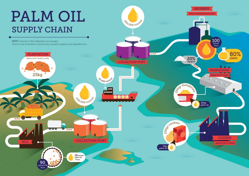 rspo-supply-chain-infographic-1024x724